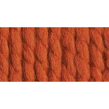 画像をギャラリービューアに読み込む, Lion Brand Wool-Ease Multi-Color Yarn