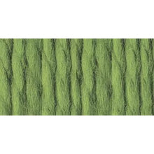 画像をギャラリービューアに読み込む, Lion Brand Wool-Ease Multi-Color Yarn