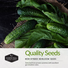 画像をギャラリービューアに読み込む, 3