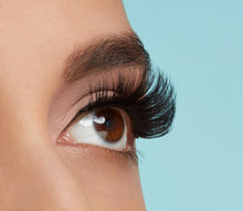 Load image into Gallery viewer, Salon Perfect Extension Seeker C-Curl False Eyelashes, Black, 662, 2 Pairs