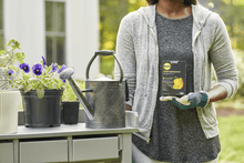 Load image into Gallery viewer, 7