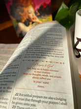 画像をギャラリービューアに読み込む, 2