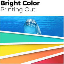 Load image into Gallery viewer, 5