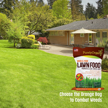 Load image into Gallery viewer, 3