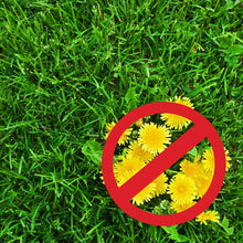 Load image into Gallery viewer, 5