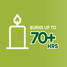 Load image into Gallery viewer, Coleman 70+ Hour Citronella Candle Outdoor Lantern - 6.7 oz