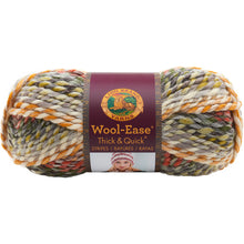 画像をギャラリービューアに読み込む, Lion Brand Wool-Ease Multi-Color Yarn
