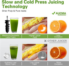 Load image into Gallery viewer, 3