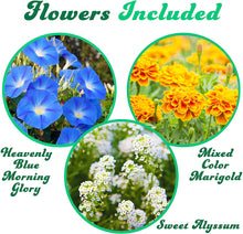 画像をギャラリービューアに読み込む, 4