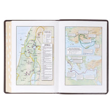 画像をギャラリービューアに読み込む, 6