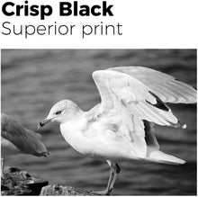 Load image into Gallery viewer, 4