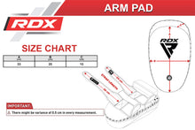 画像をギャラリービューアに読み込む, 2