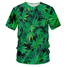 Load image into Gallery viewer, 11