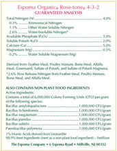 Load image into Gallery viewer, 2