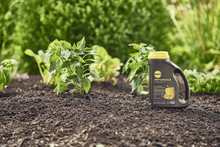 Load image into Gallery viewer, 6