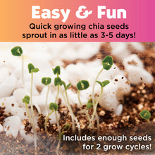 画像をギャラリービューアに読み込む, 6