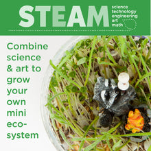 Load image into Gallery viewer, 5