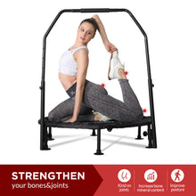 画像をギャラリービューアに読み込む, 1