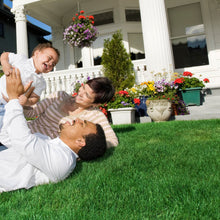 Load image into Gallery viewer, 1