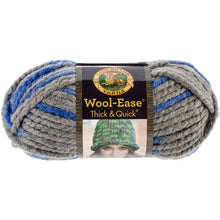 画像をギャラリービューアに読み込む, Lion Brand Wool-Ease Multi-Color Yarn