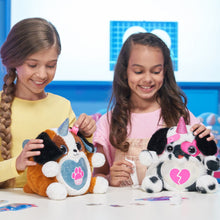 Load image into Gallery viewer, 6