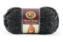 画像をギャラリービューアに読み込む, Lion Brand Wool-Ease Multi-Color Yarn
