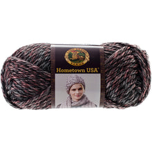 画像をギャラリービューアに読み込む, Lion Brand Hometown USA Salem Creek Yarn, 81 yards