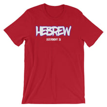 Load image into Gallery viewer, Hebrew Israelite Clothing Deuteronomy 28 T-Shirt