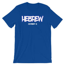 Load image into Gallery viewer, Hebrew Israelite Clothing Deuteronomy 28 T-Shirt