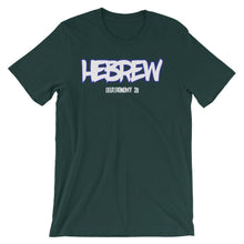 Load image into Gallery viewer, Hebrew Israelite Clothing Deuteronomy 28 T-Shirt