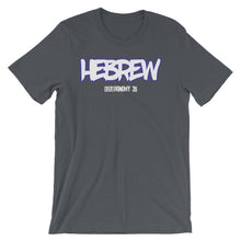 Load image into Gallery viewer, Hebrew Israelite Clothing Deuteronomy 28 T-Shirt
