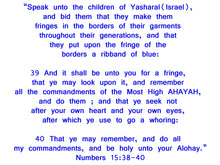 Load image into Gallery viewer, Royal Israelite TuniKaftan Set- Boys Sizes