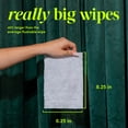 Goodwipes Flushable Butt Wipes