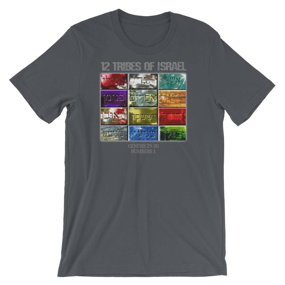 12 Tribes Of Israel - Hebrew Israelite T- Shirt Clothing - slvhasitall