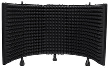 Load image into Gallery viewer, Pro Recording Studio Microphone+Isolation Shield+Mount+Filter+Stand
