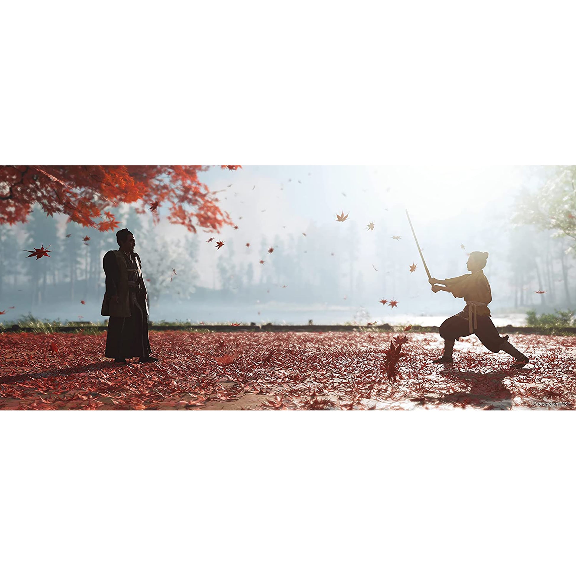 Ghost of Tsushima: Director's Cut - PlayStation 5