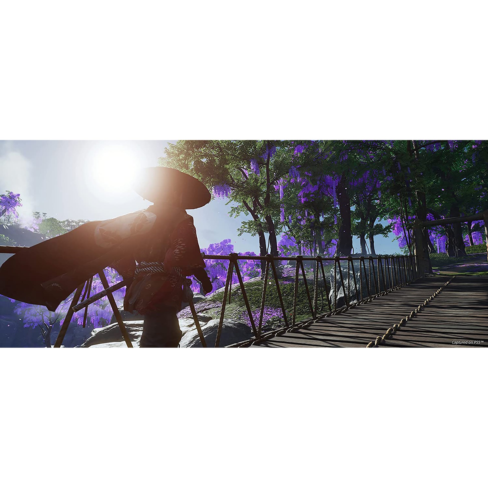 Ghost of Tsushima: Director's Cut - PlayStation 5