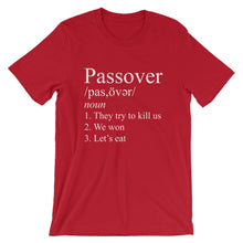 Load image into Gallery viewer, Passover Funny Jew Pride Unisex Shirt
