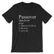 Load image into Gallery viewer, Passover Funny Jew Pride Unisex Shirt
