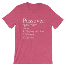 Load image into Gallery viewer, Passover Funny Jew Pride Unisex Shirt
