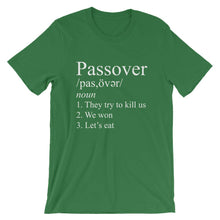 Load image into Gallery viewer, Passover Funny Jew Pride Unisex Shirt
