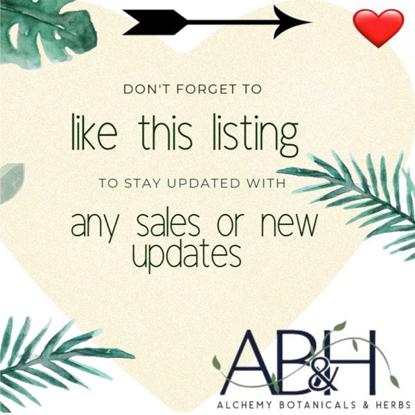 Organic Irish MossSea Moss, Bladderwrack and Burdock Capsules Vegetarian Capsules