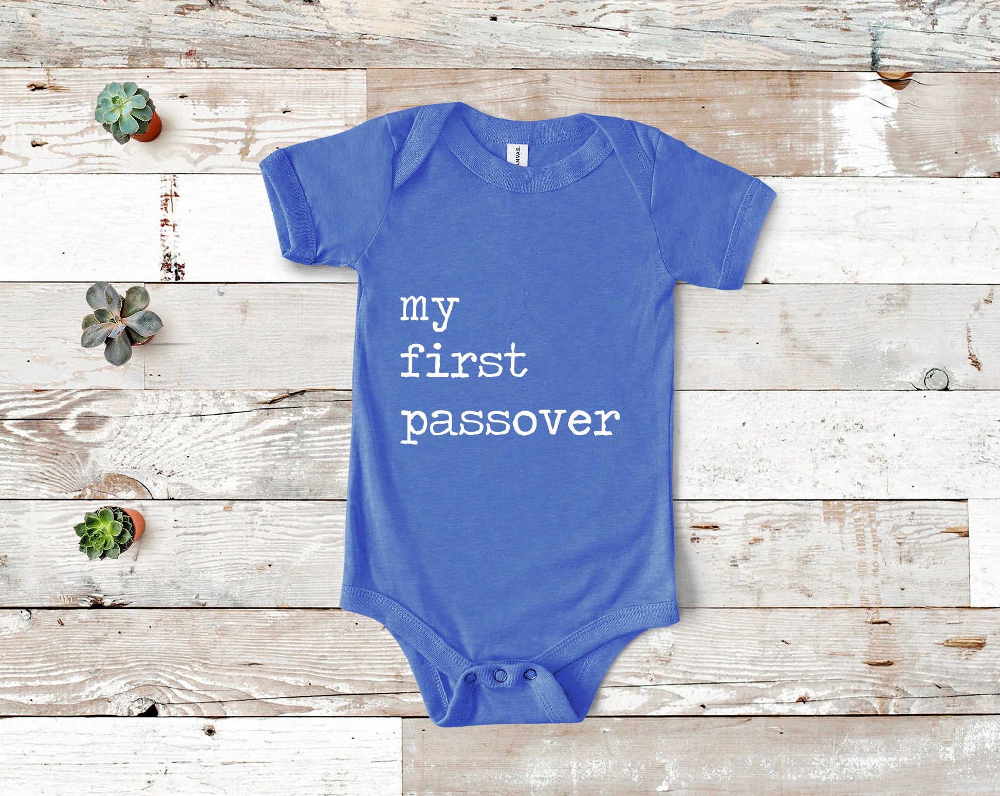 My First Passover Onesie