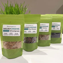Load image into Gallery viewer, Micro Greens Seeds, Resealable Packs, Organic, Easy to Grow
