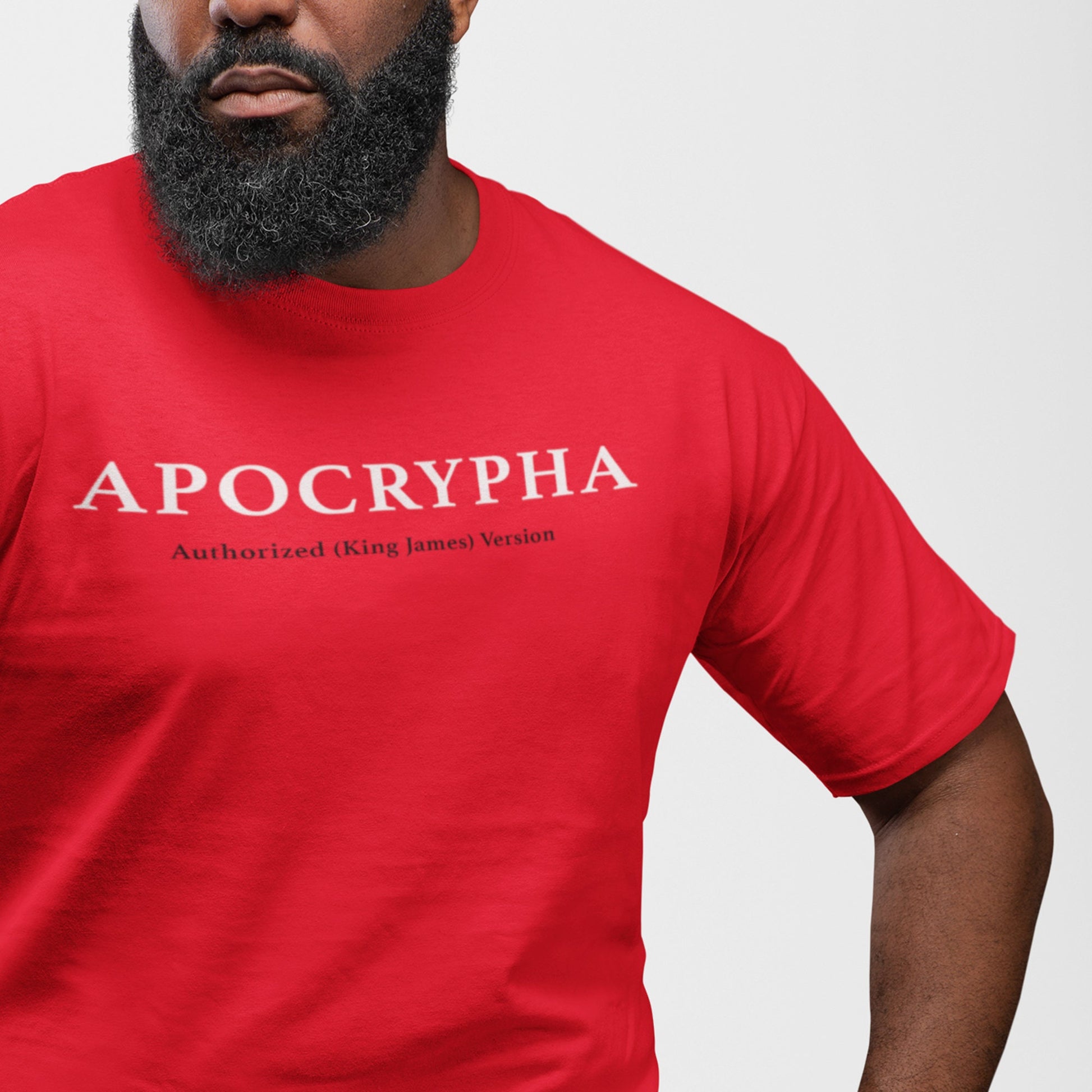Hebrew Israelite 12 Tribes Apocrypha Men Shirt
